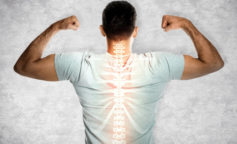 Rücken eines Mannes, dessen Wirbelsäule sinnbildlich aufleuchtet