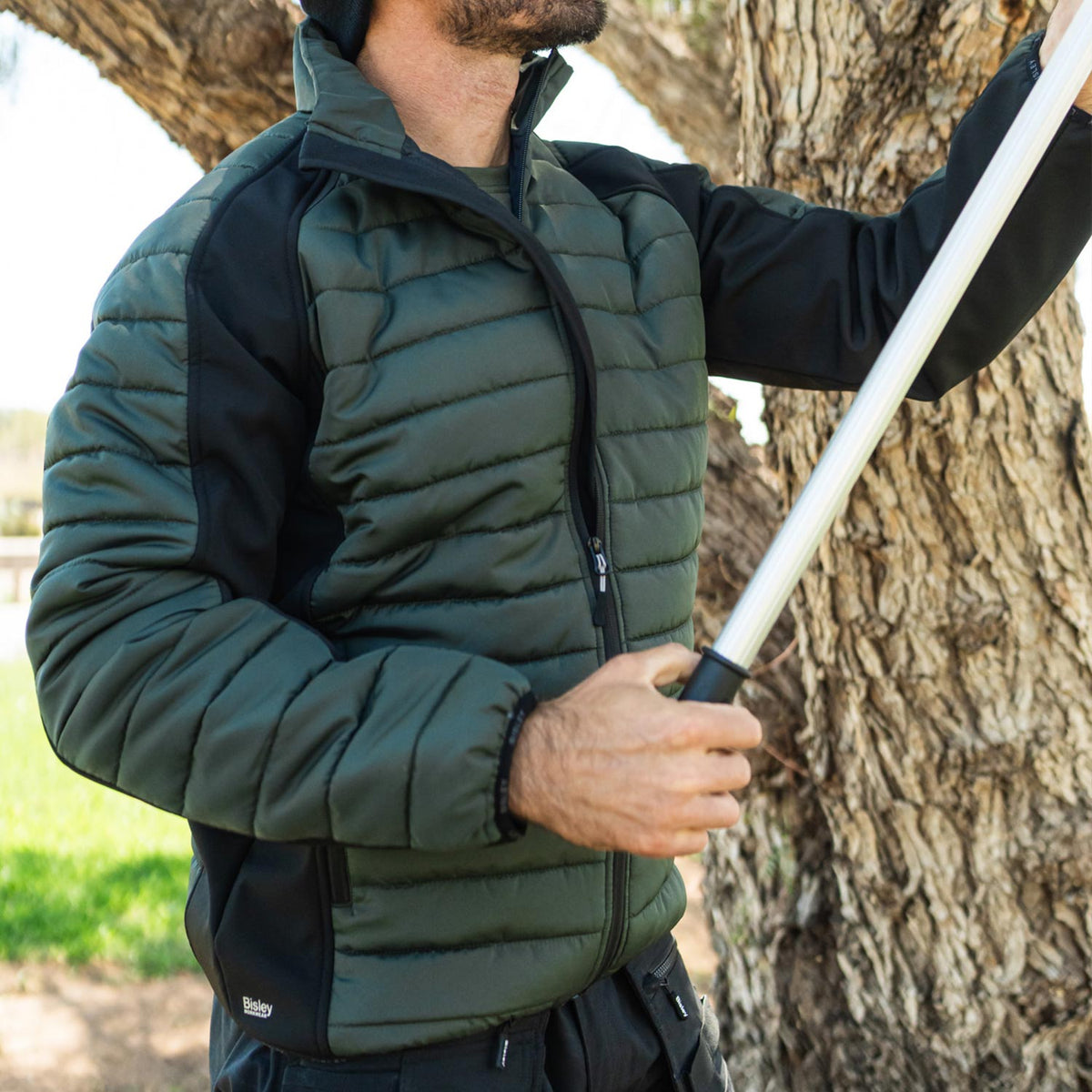 Mann vor Baum mit BISLEY Nares Softshelljacke grün